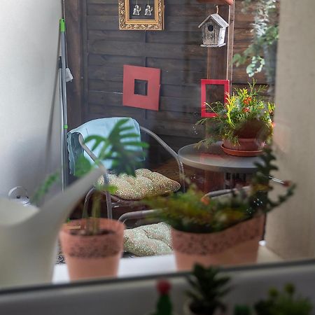 Apartament U Olechny 4 Bydgoszcz Kültér fotó
